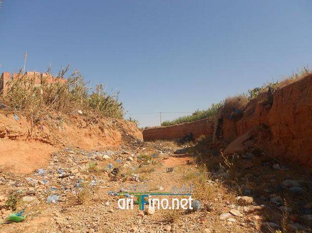 nador0633