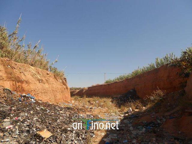 nador0636