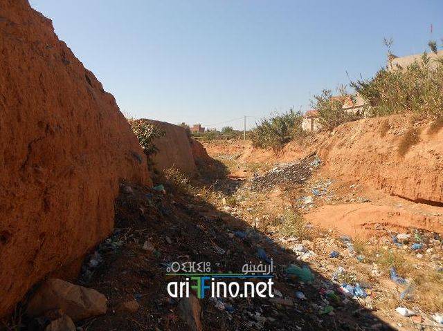 nador0637