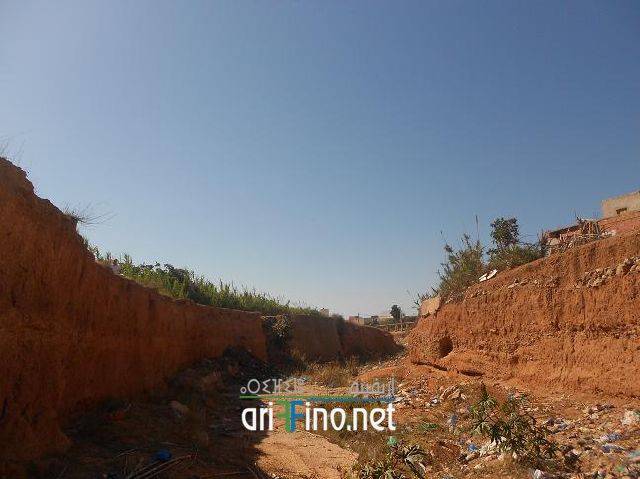 nador0644