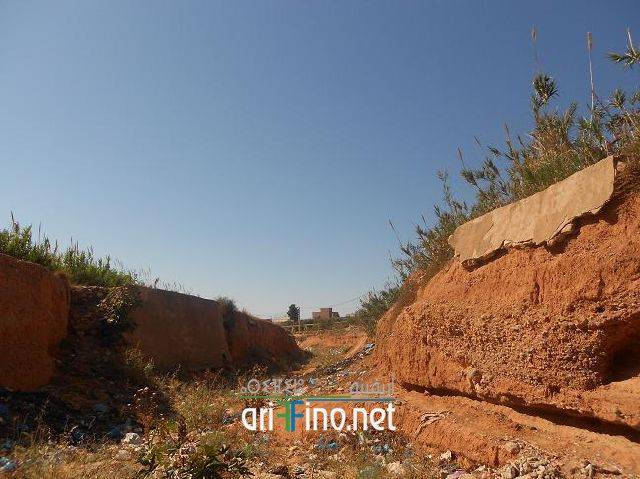 nador0646