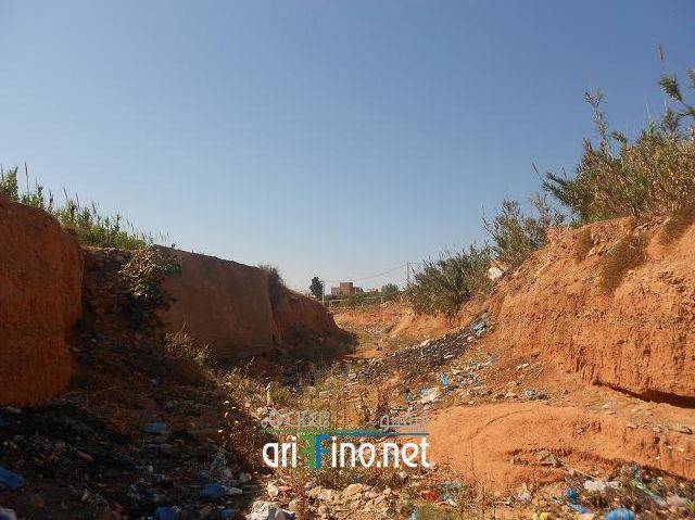 nador0647