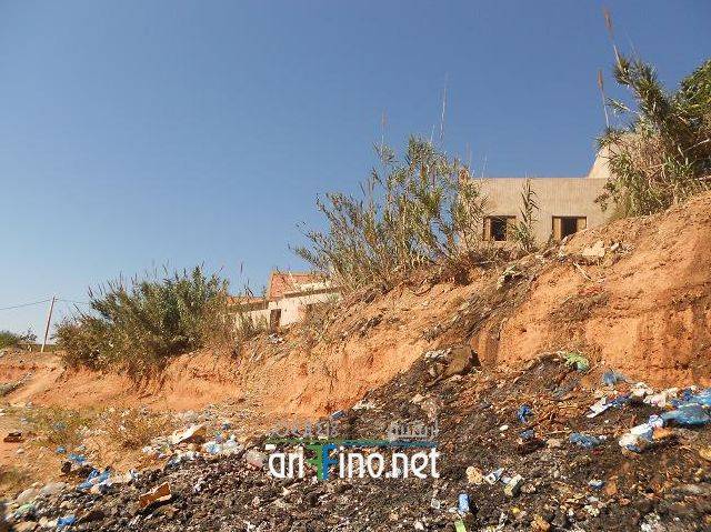 nador0650