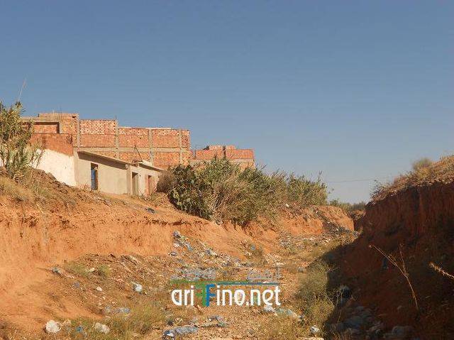 nador0654