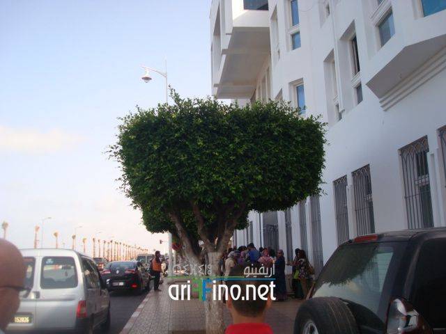 nador0974