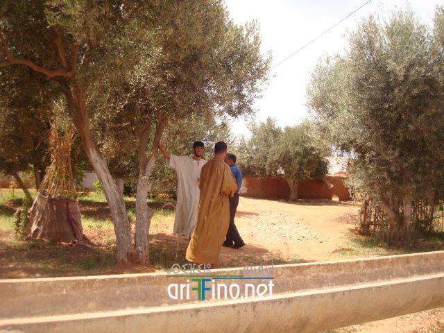 nador2179
