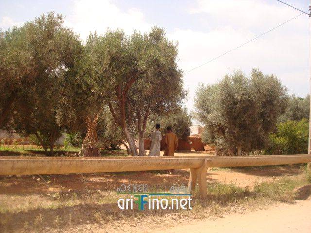nador2180