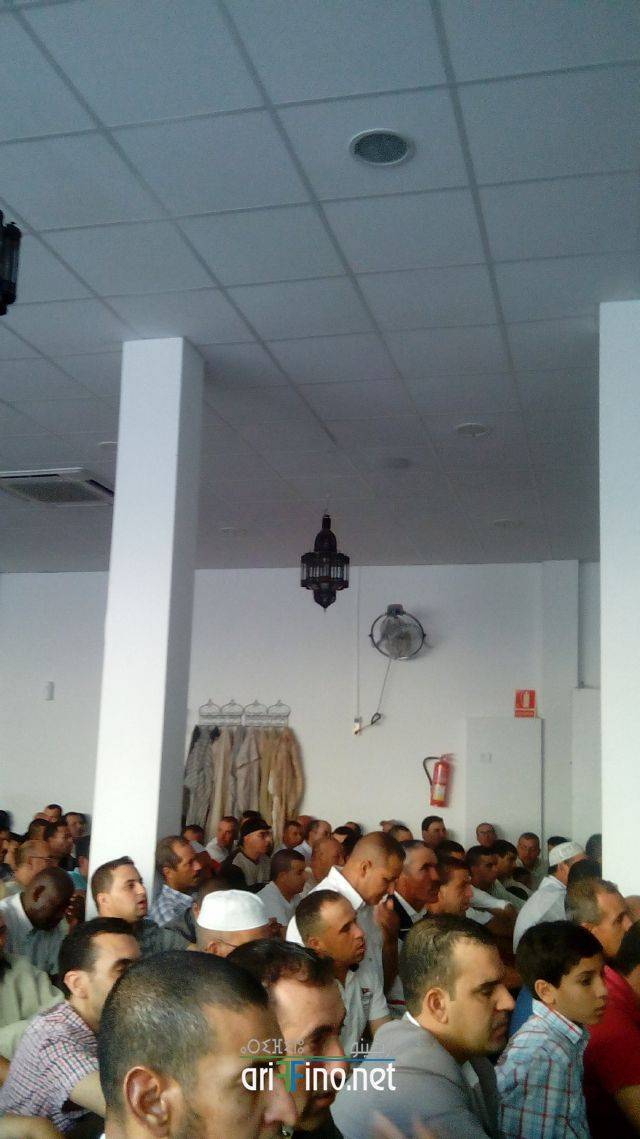 nador2577