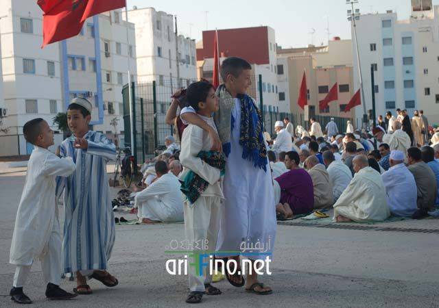 nador2611