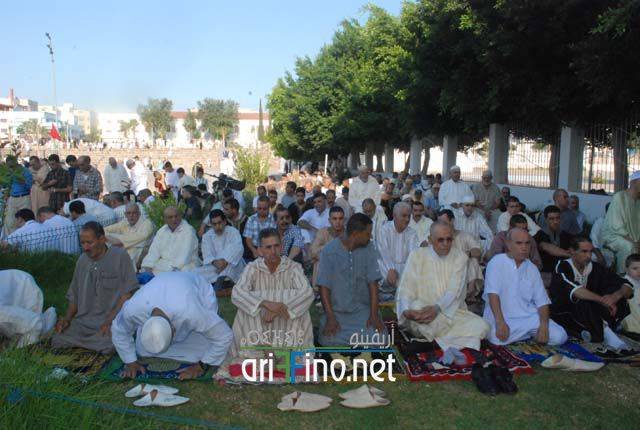 nador2617