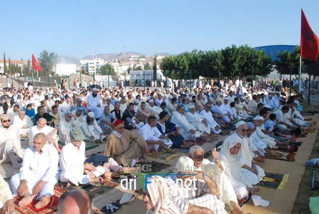 nador2618