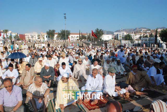 nador2619