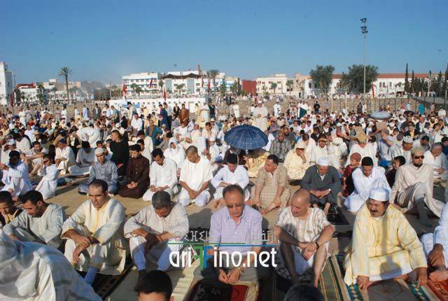 nador2620