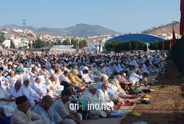 nador2631