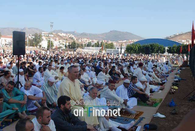nador2637