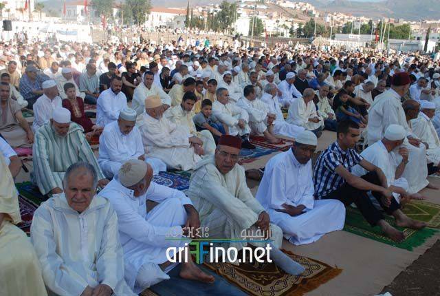nador2638