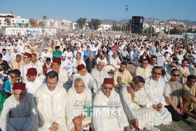 nador2653