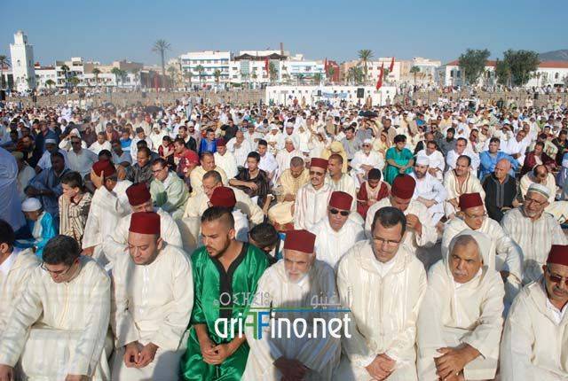 nador2654