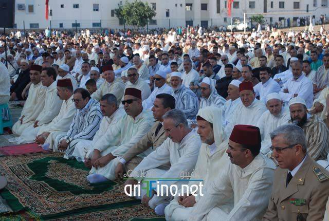 nador2655