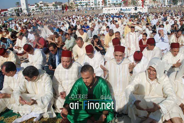 nador2678