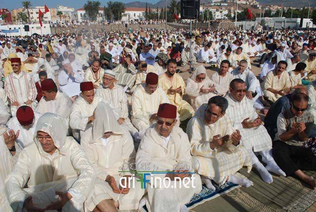 nador2679