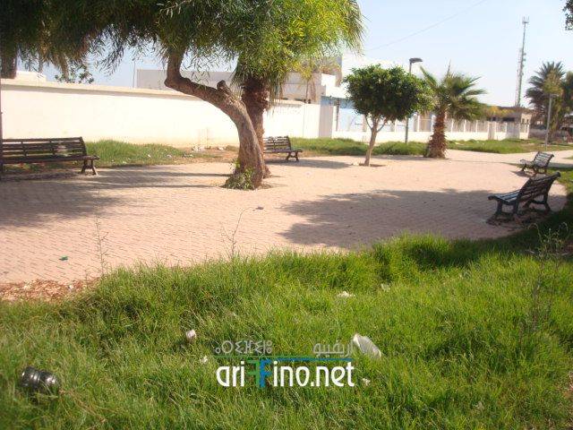 nador3131
