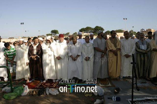 nador3148