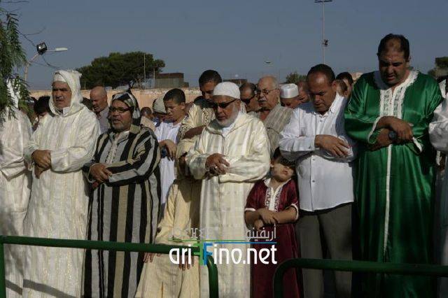 nador3150