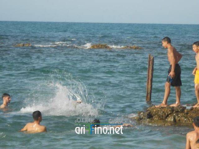nador0155