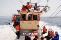 nador0196