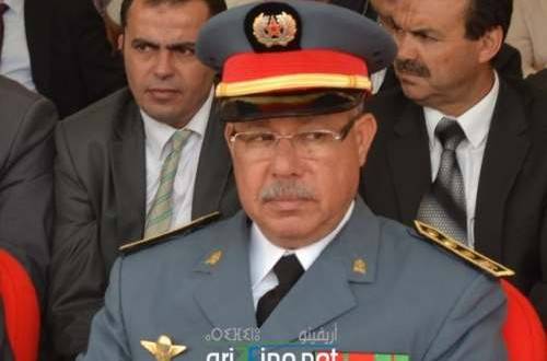 nador03741-500x330