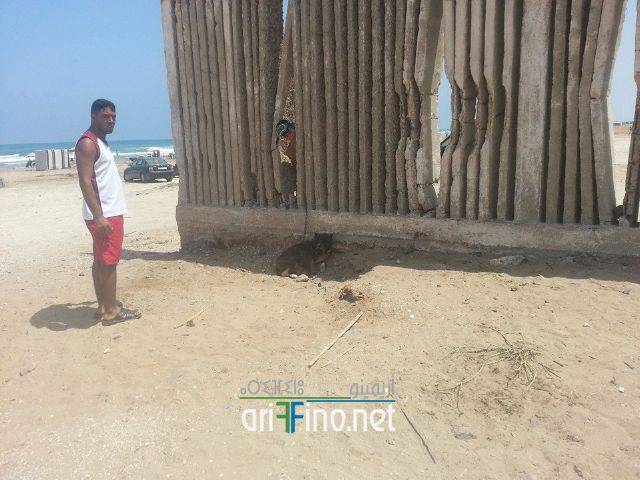nador0455