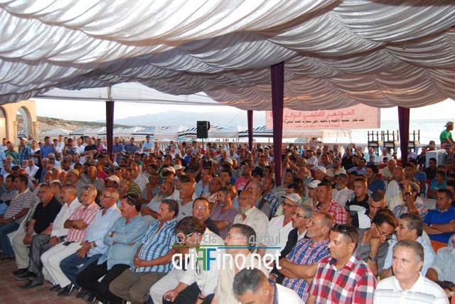 nador0515