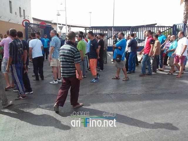 nador0549