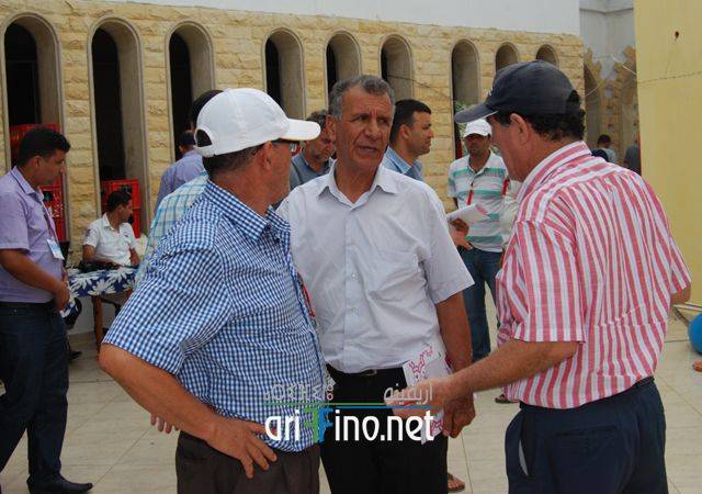 nador0731