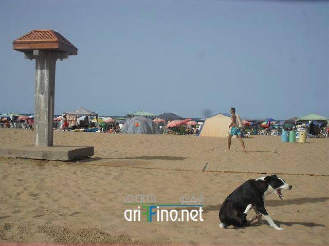 nador0756