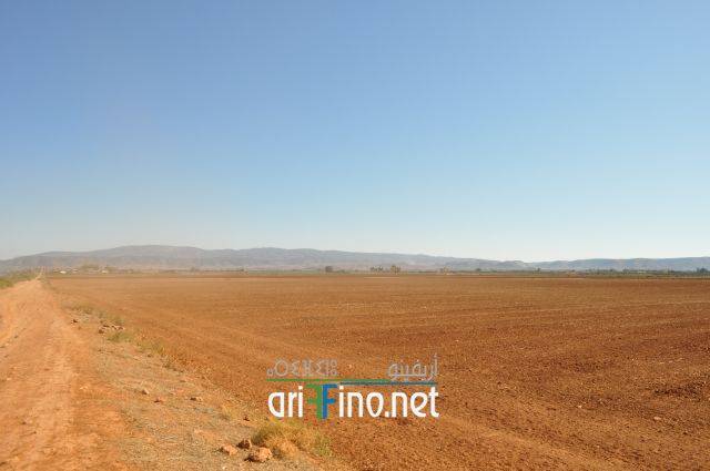 nador1122