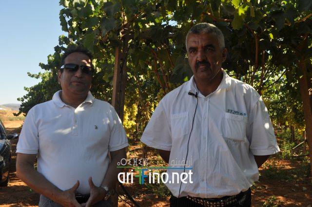 nador1184