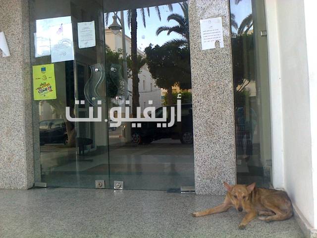 Photo0156