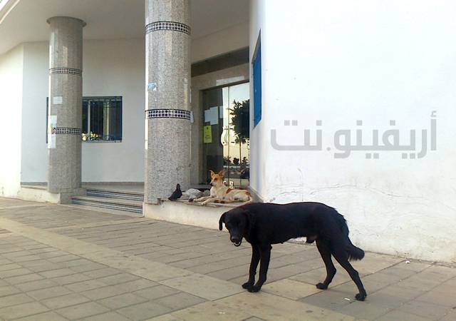 Photo0157