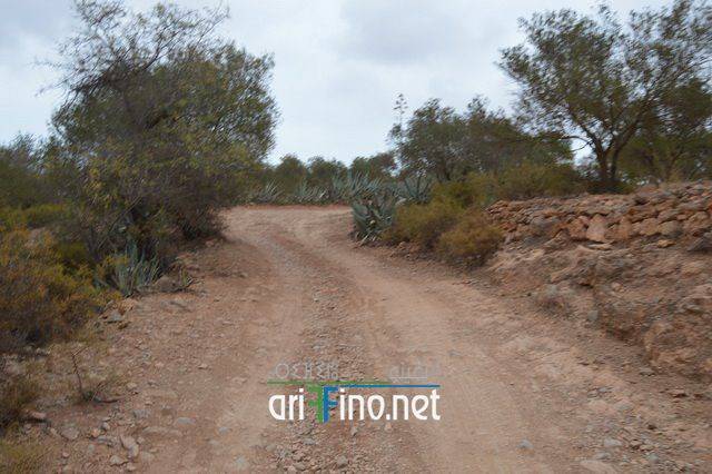 nador0653