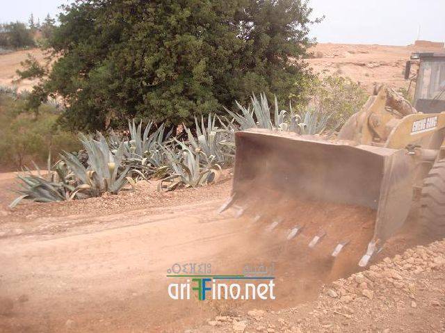 nador0677
