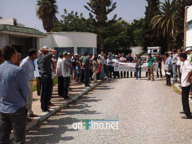 nador0716