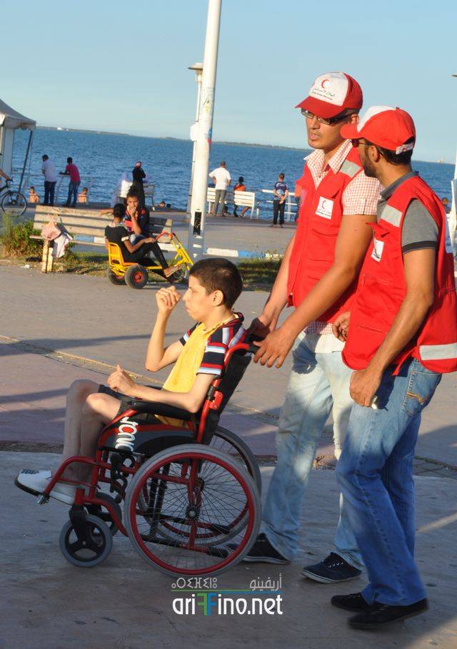 nador0833