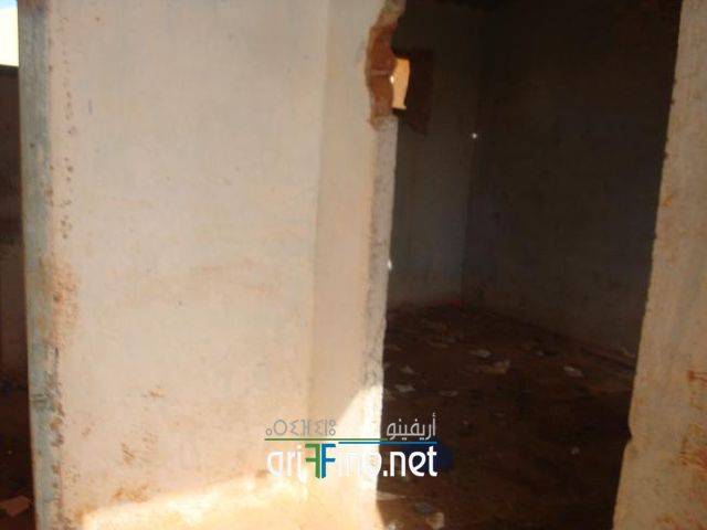 nador2113