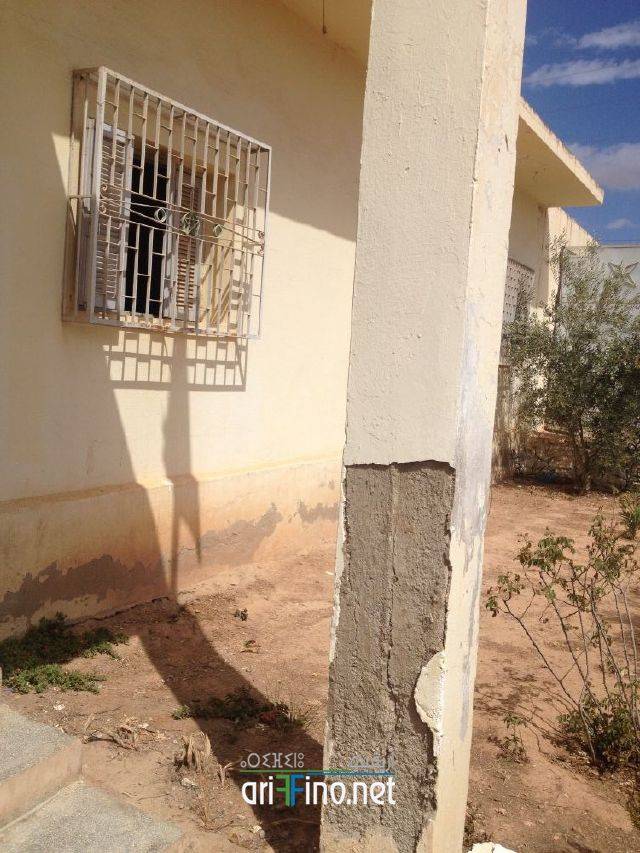 nador2441