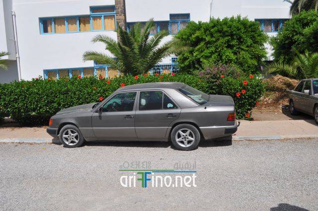 nador2482