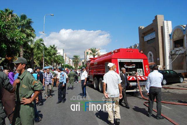 nador2544