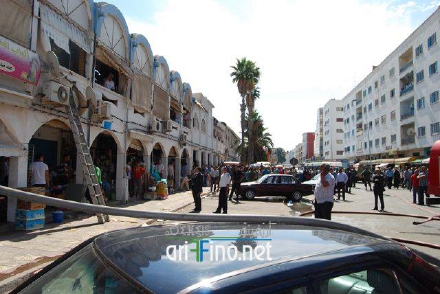 nador2552