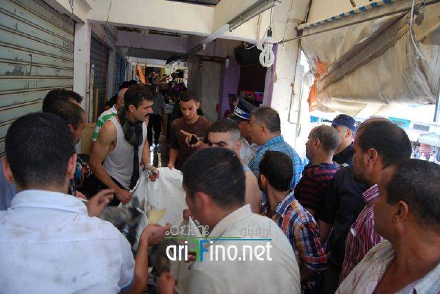 nador2653